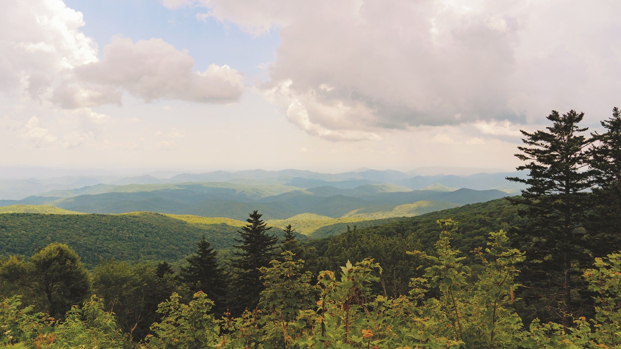 Johnson City, Tennessee Shamrock Tour—Gateway to the Blue Ridge Mountains