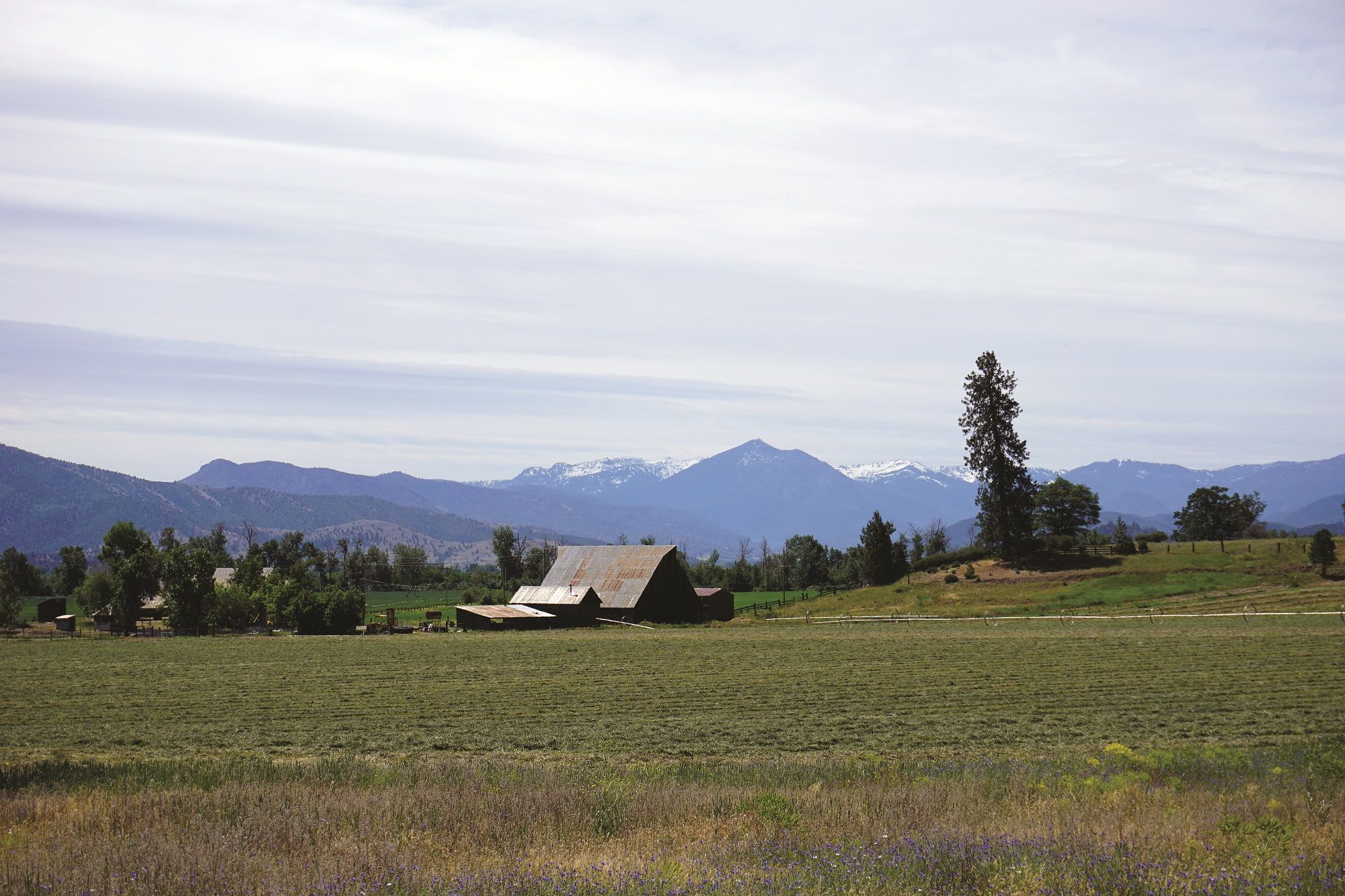 Etna, California Shamrock Tour®