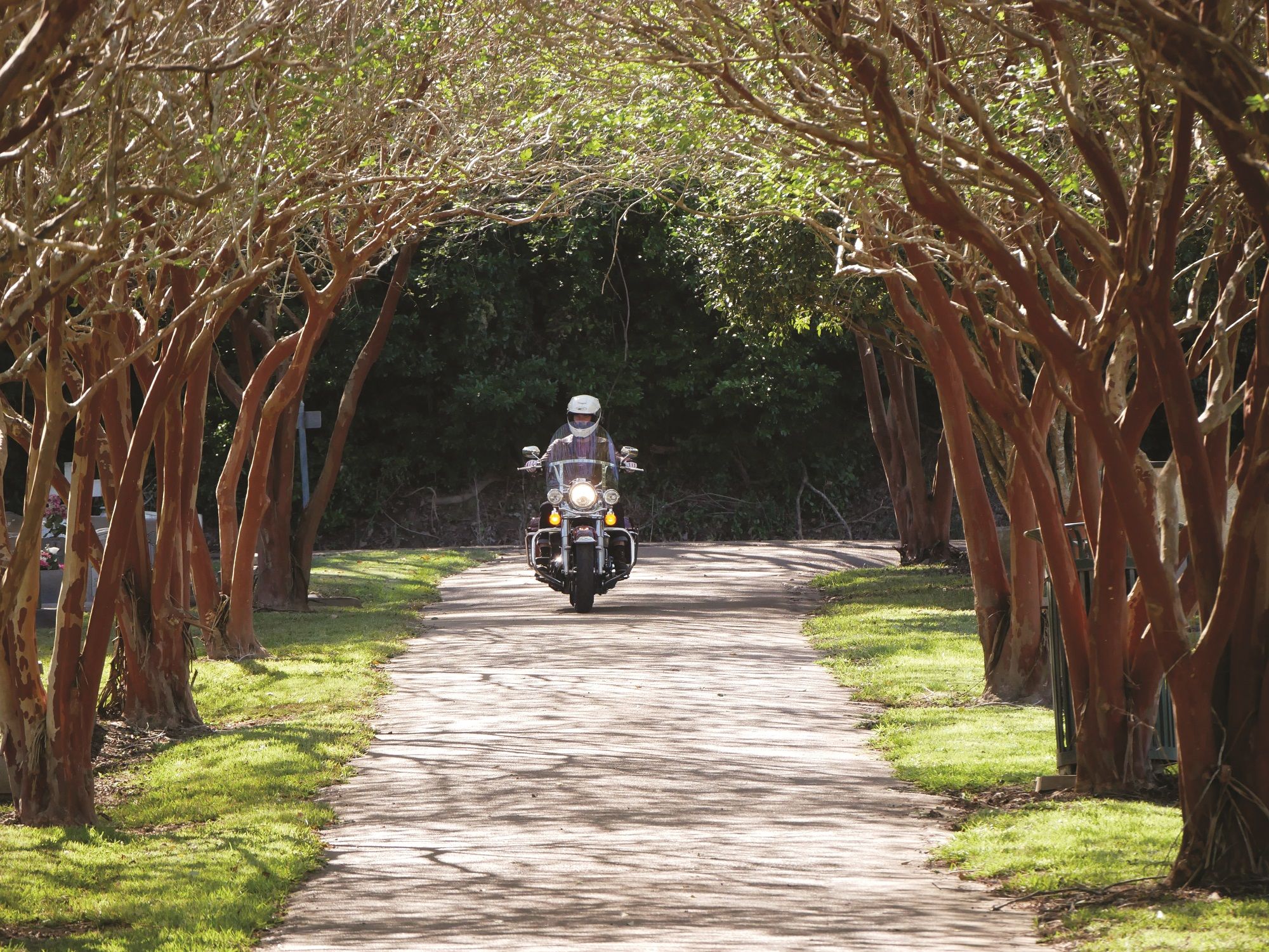 Alabama, Mississippi, and Tennessee: Riding The Natchez Trace Parkway