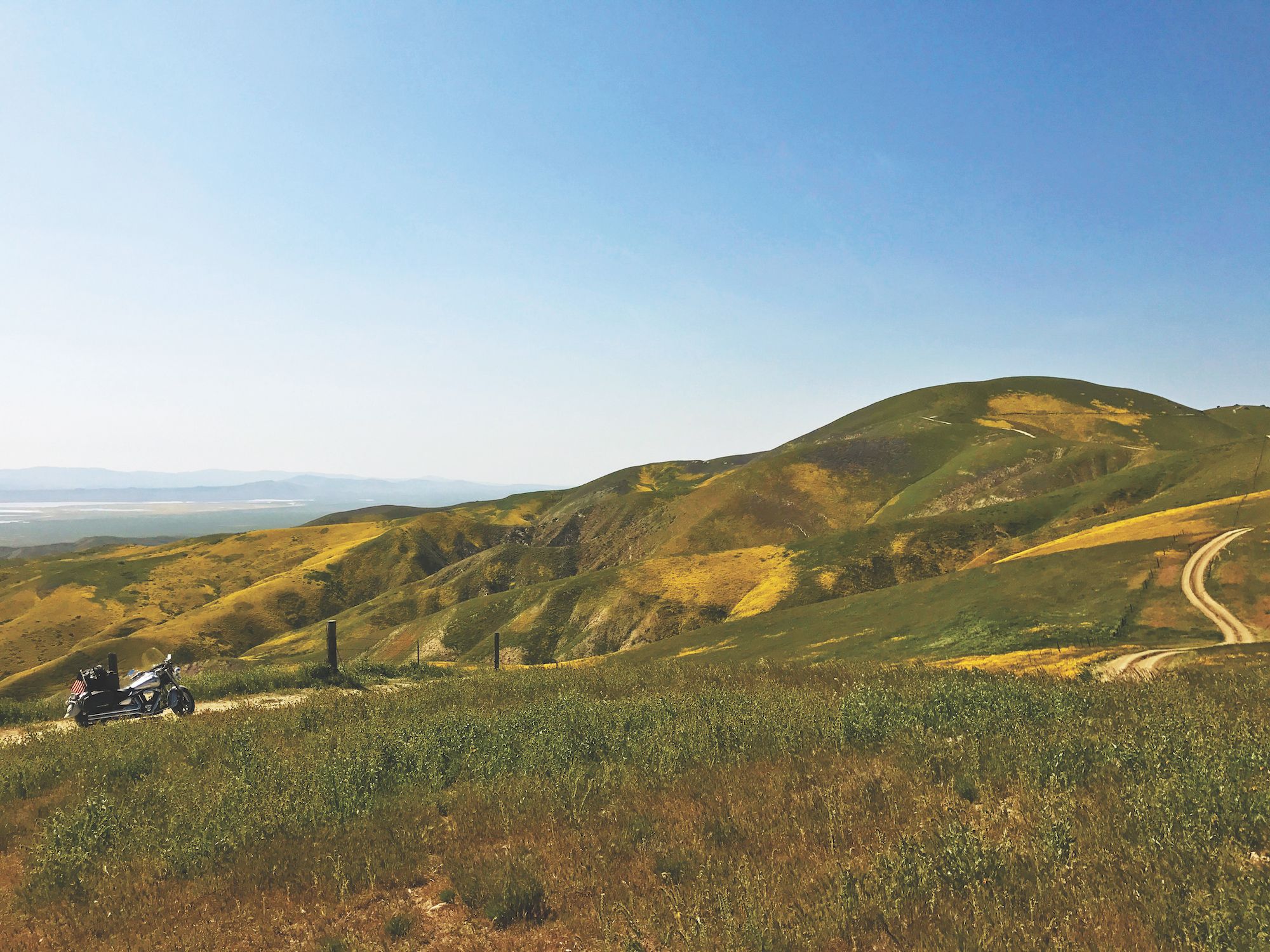 In Pursuit of Wildness: 
The Carrizo Plain National Monument