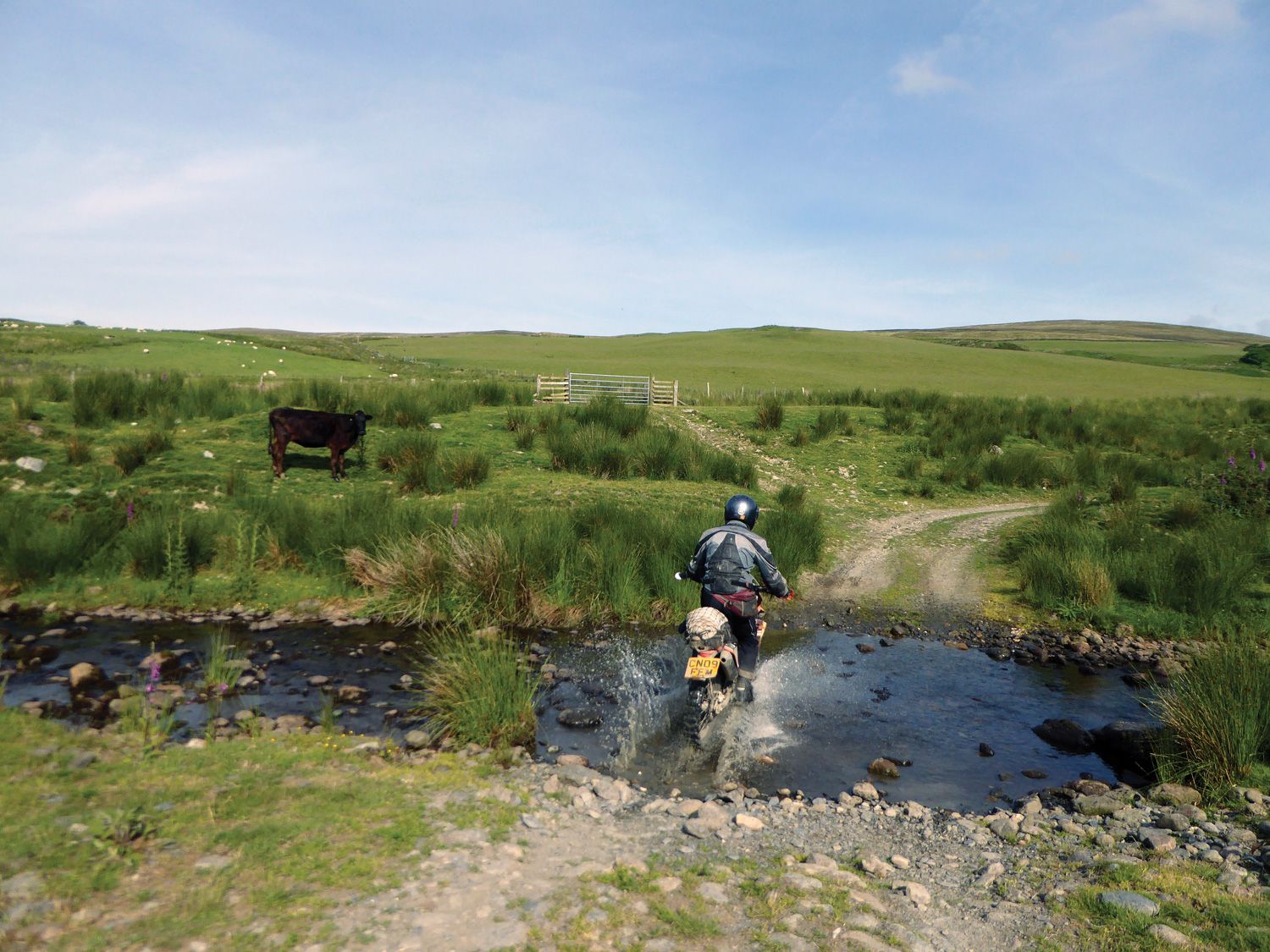 United Kingdom Welsh And Wonderful