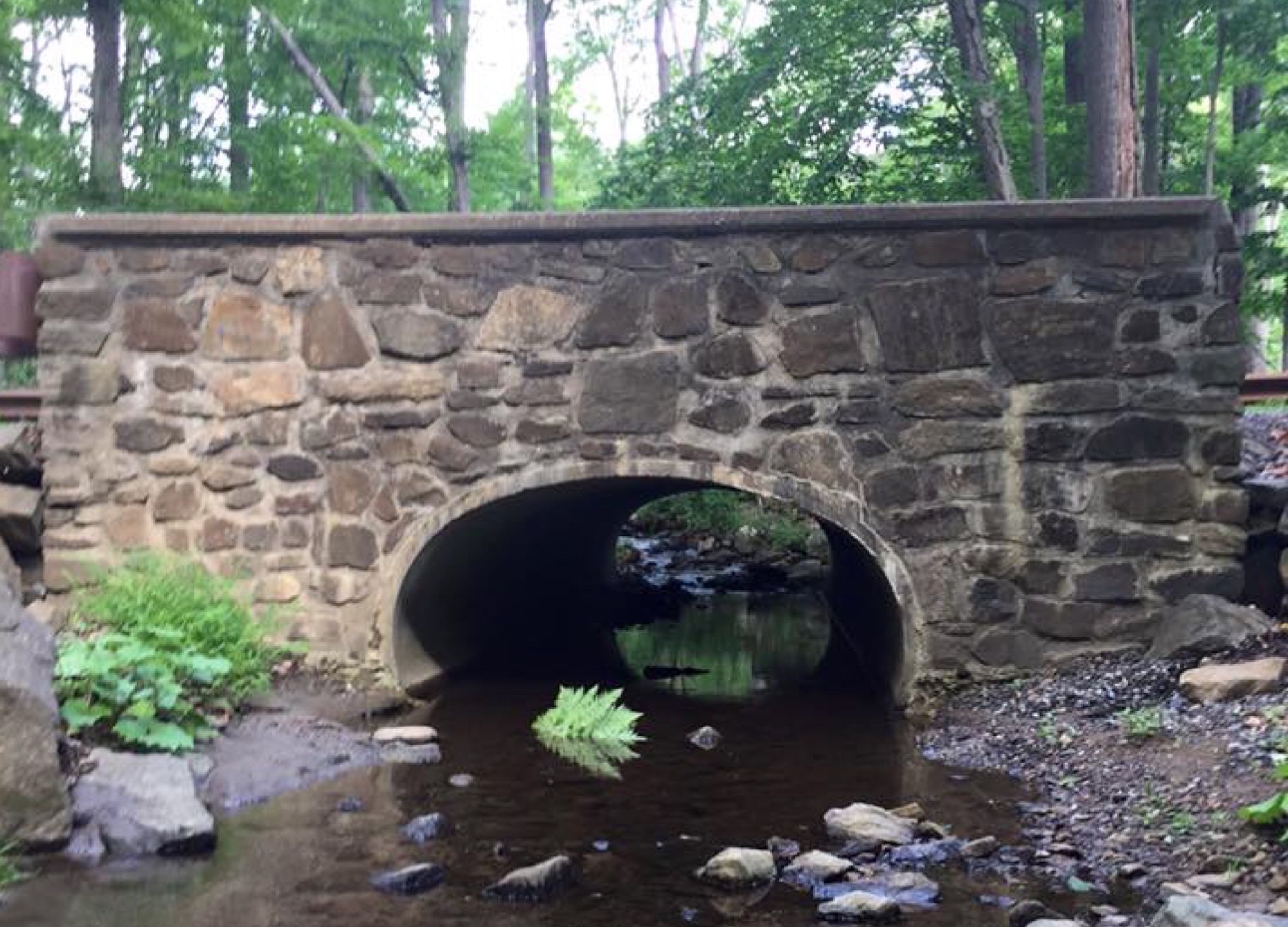 Exploring The Mysteries Of The Most Haunted Road In The USA New Jersey 
