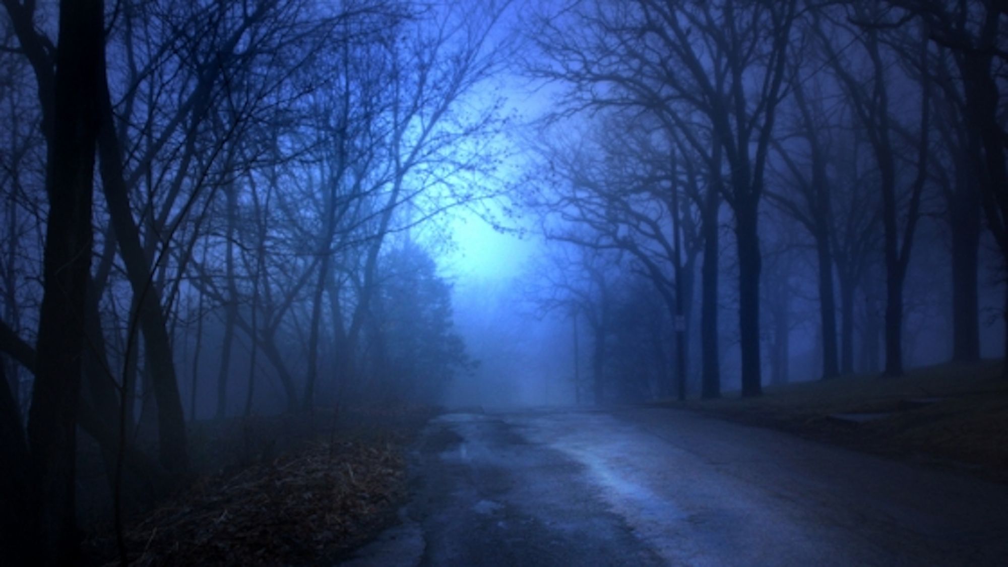 Exploring The Mysteries Of The Most Haunted Road In The USA New Jersey 