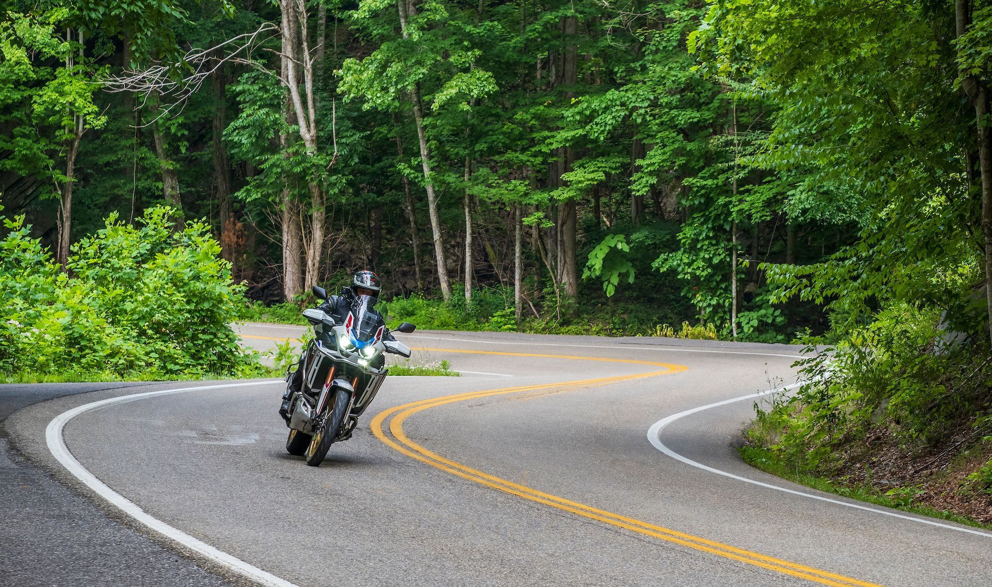 Whip It Good—Ride the Devil’s Whip in North Carolina
