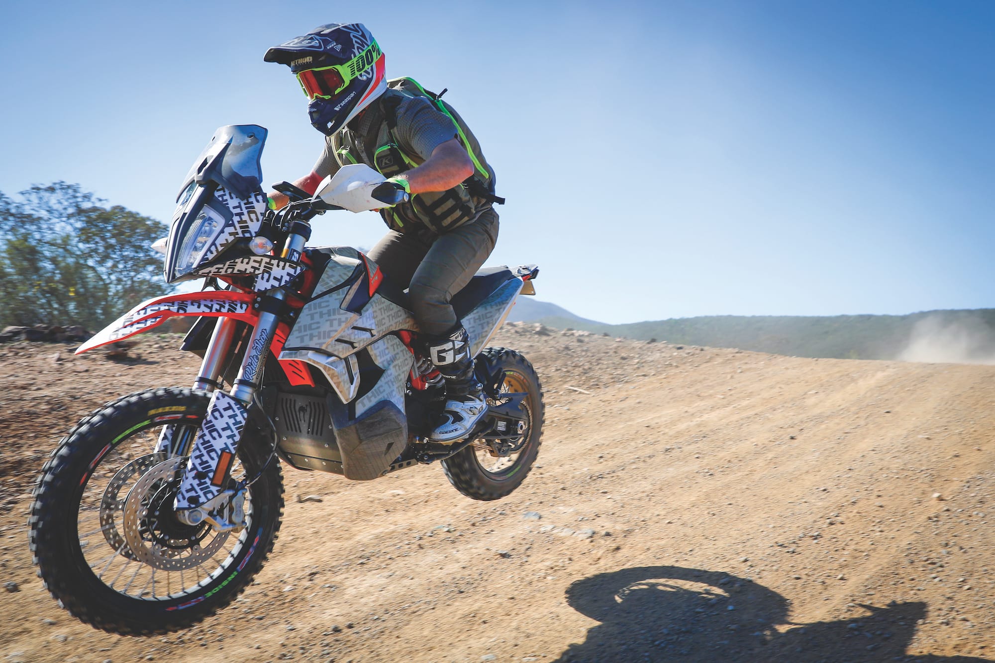 Baja, California: Fast and Feathery