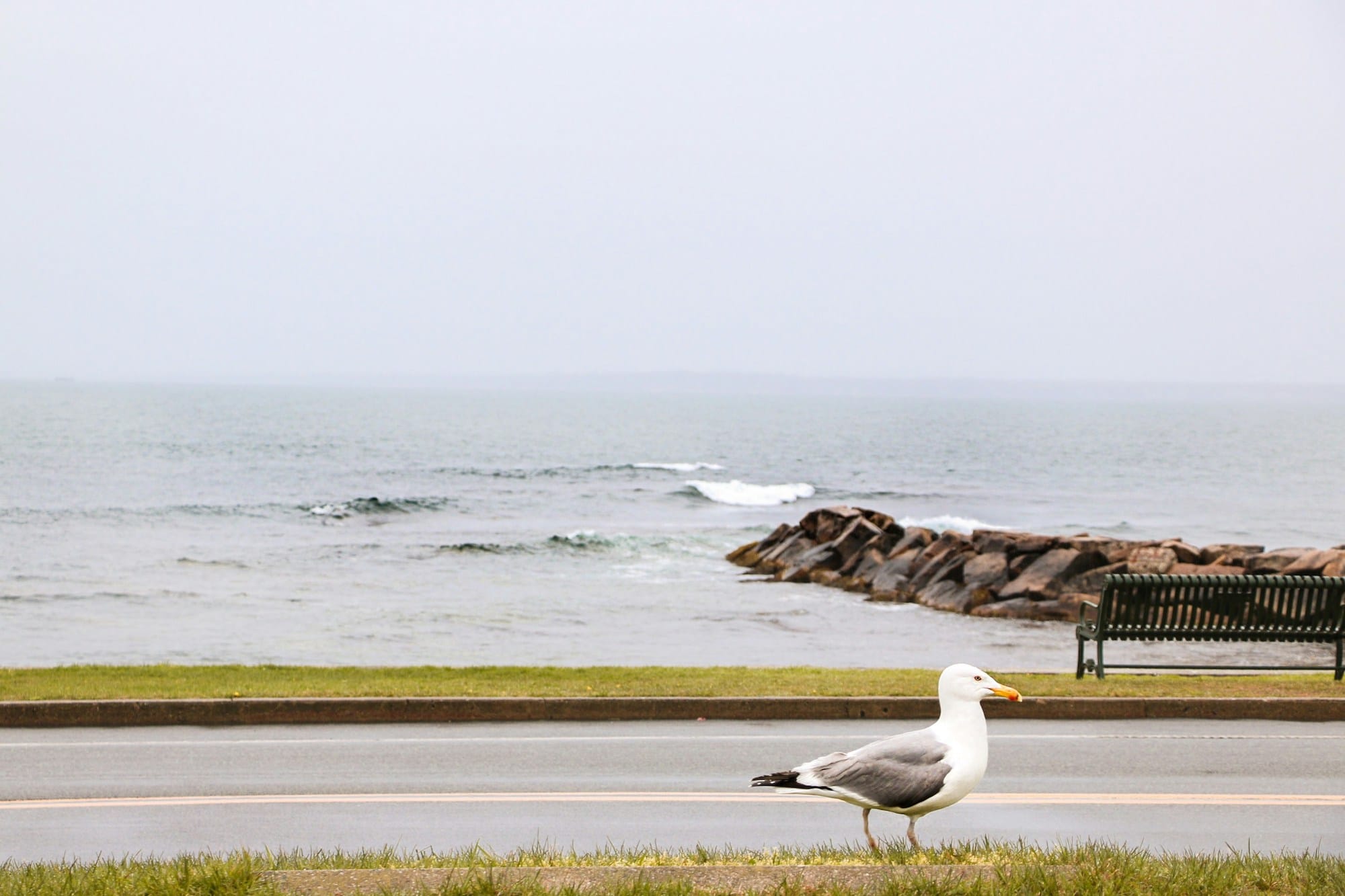 US 6 in Massachusetts—Your Highway to Cape Cod