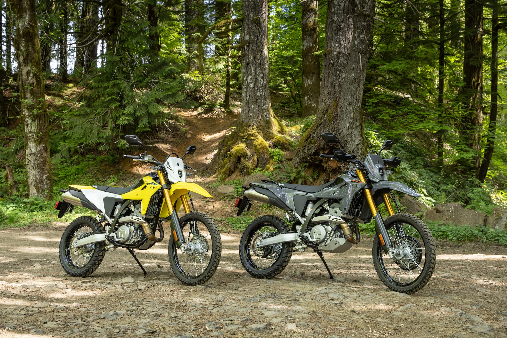 Review: 2025 Suzuki DR-Z4S