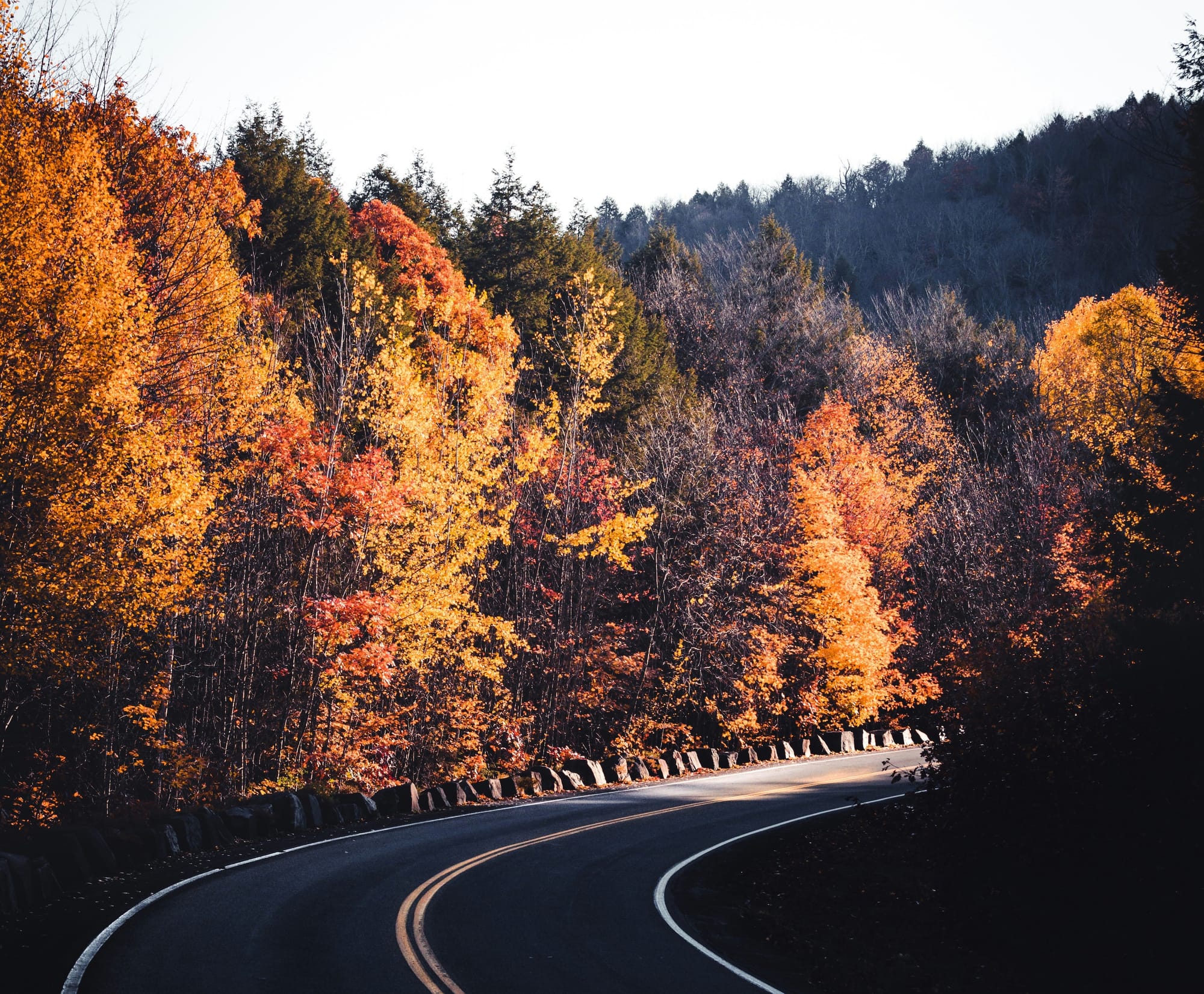 7 Gorgeous Fall Foliage Rides in Maine