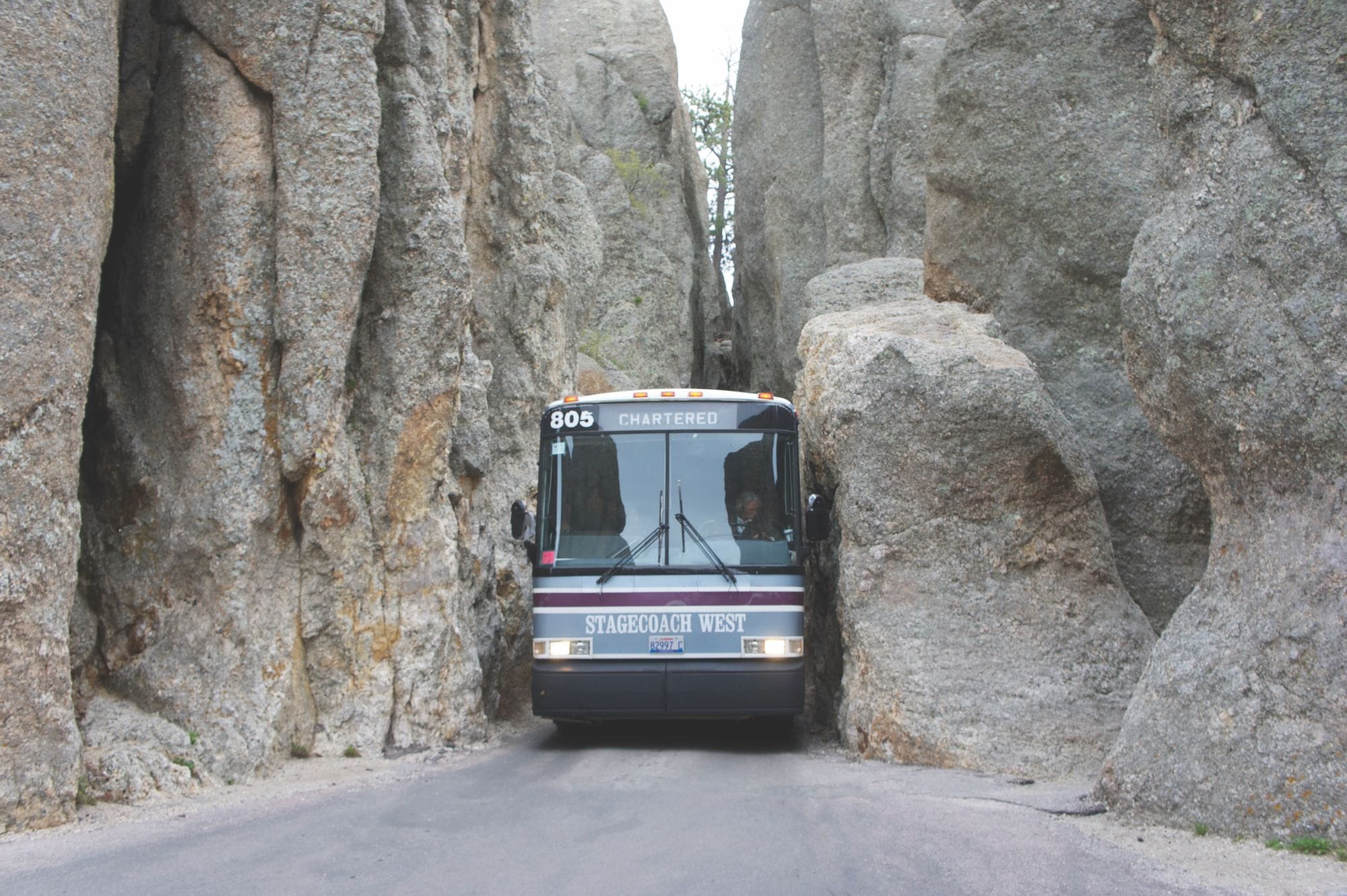 Needles Highway—The Governor’s Road