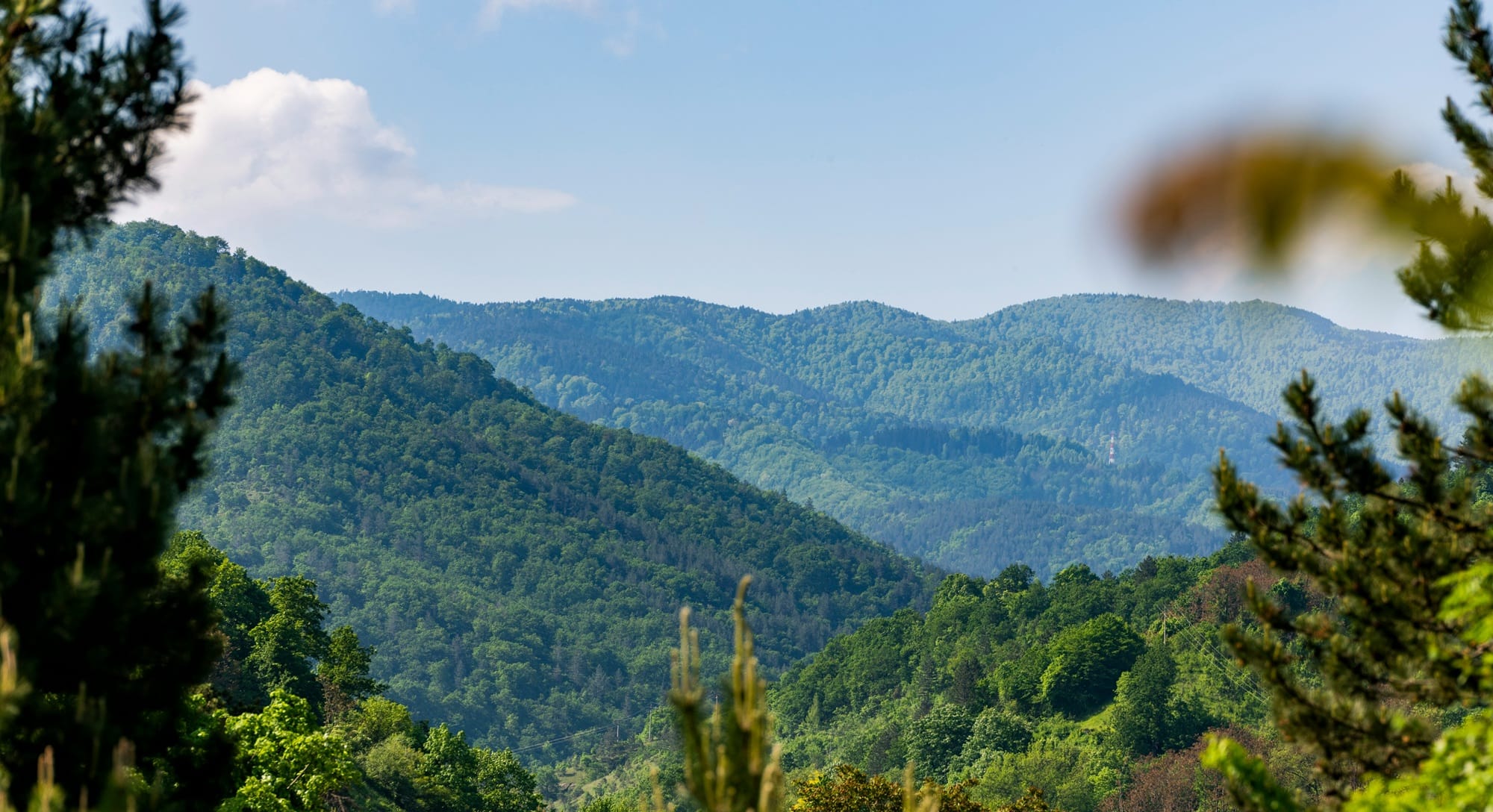 The Small Town That’s Got It All—Maggie Valley, NC
