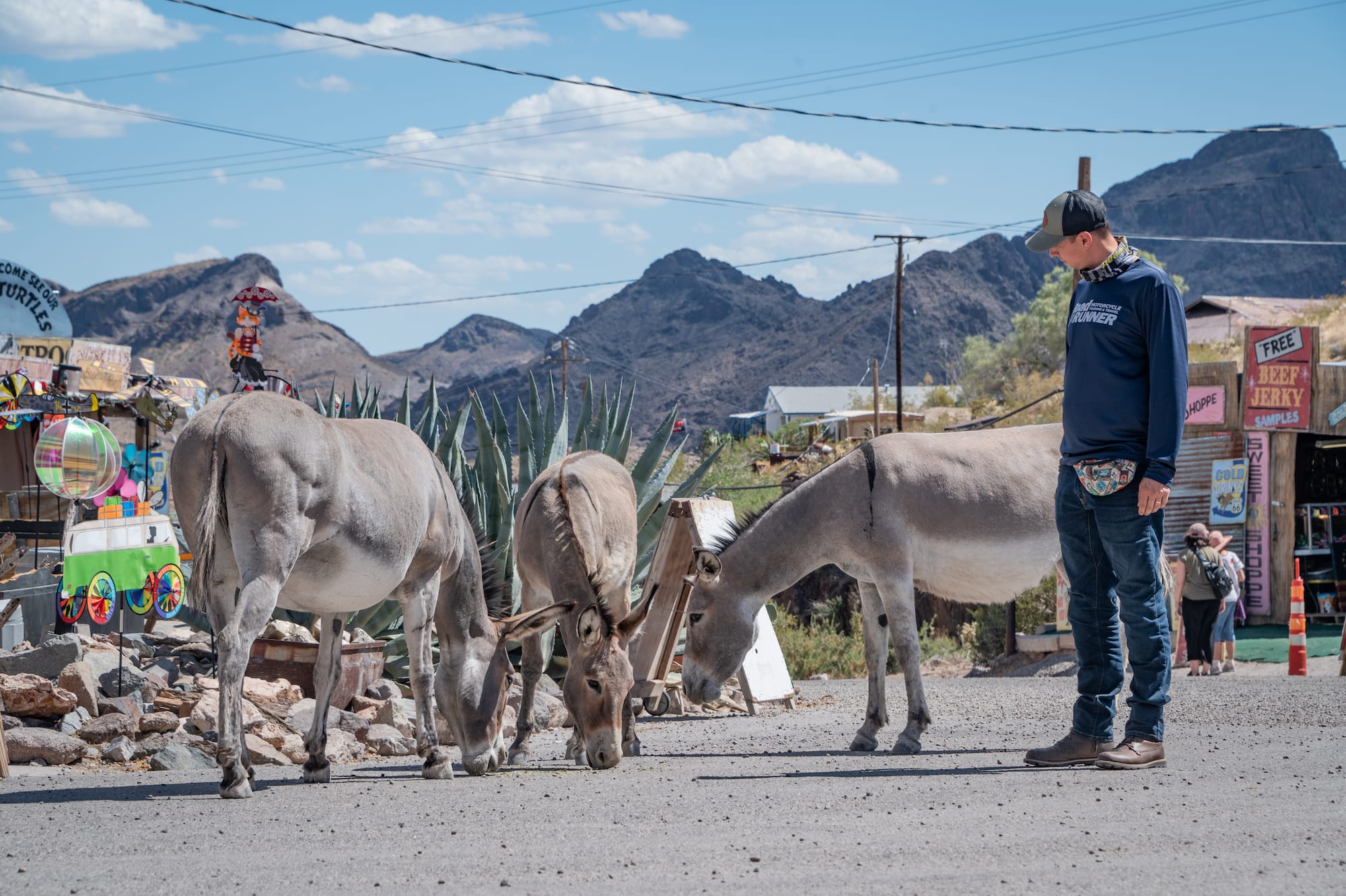 Oatman, AZ—Donkeys and Danger on Route 66