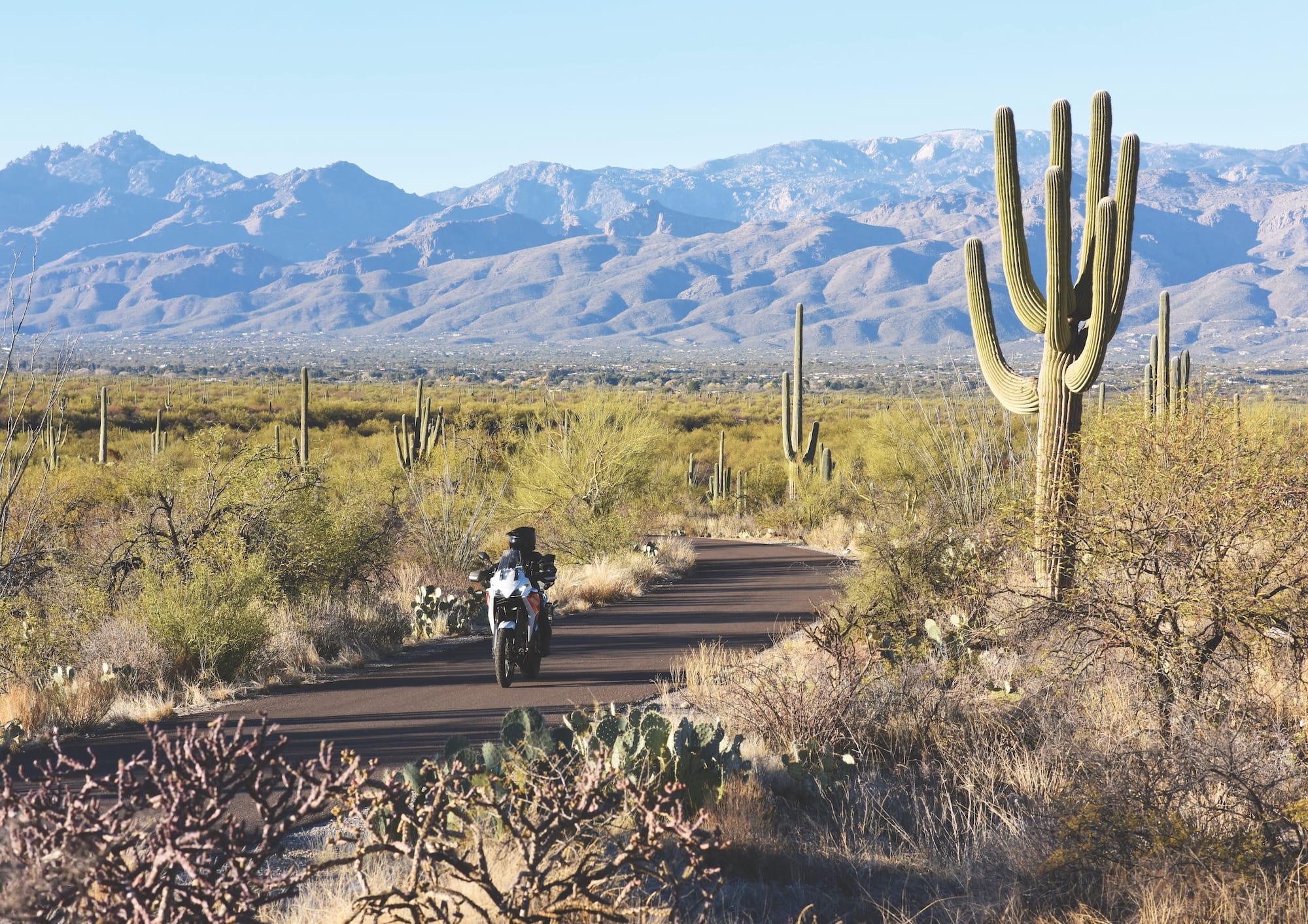 Arizona: Desert Ice