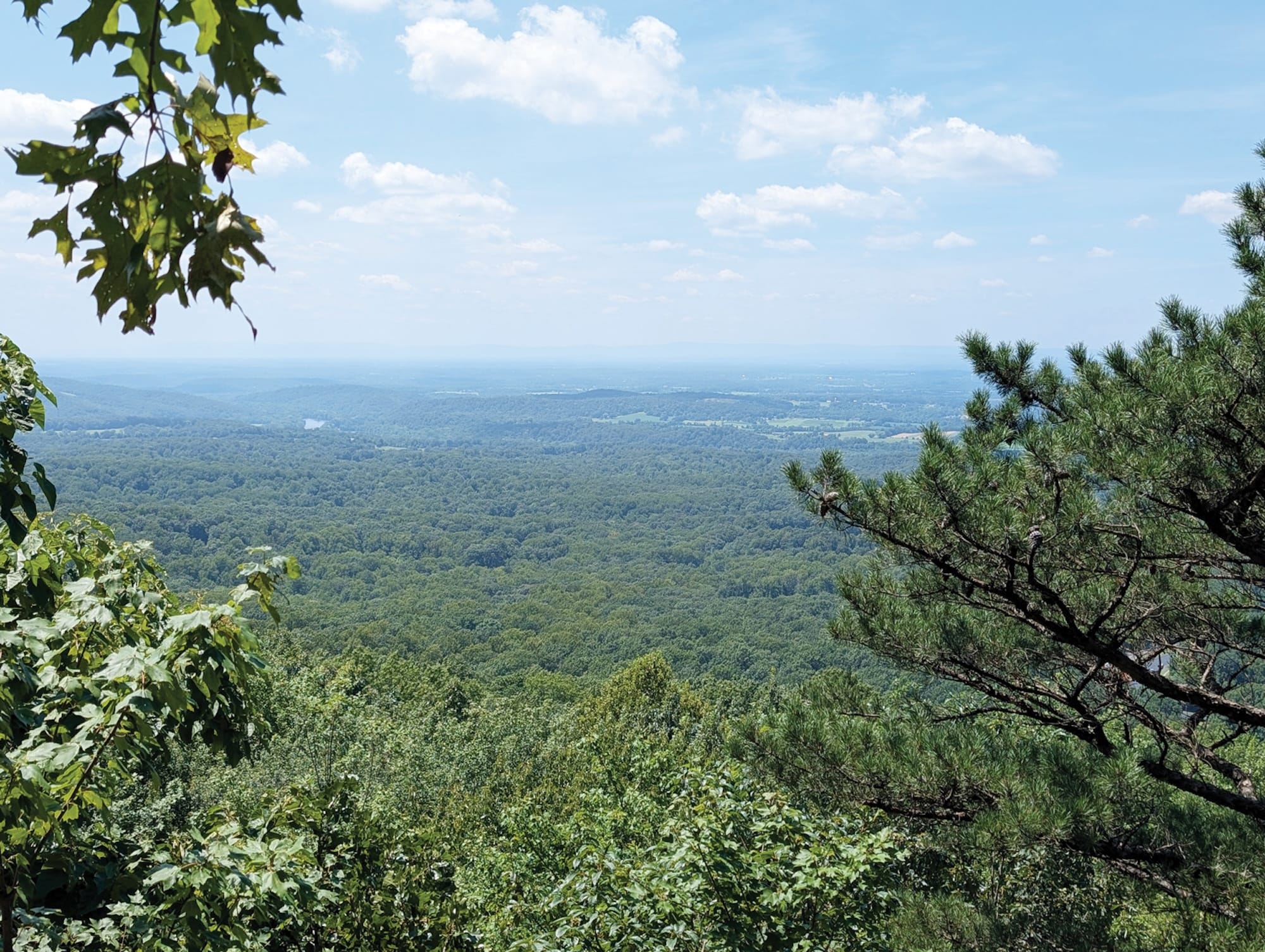 City Escape: Winchester, Virginia