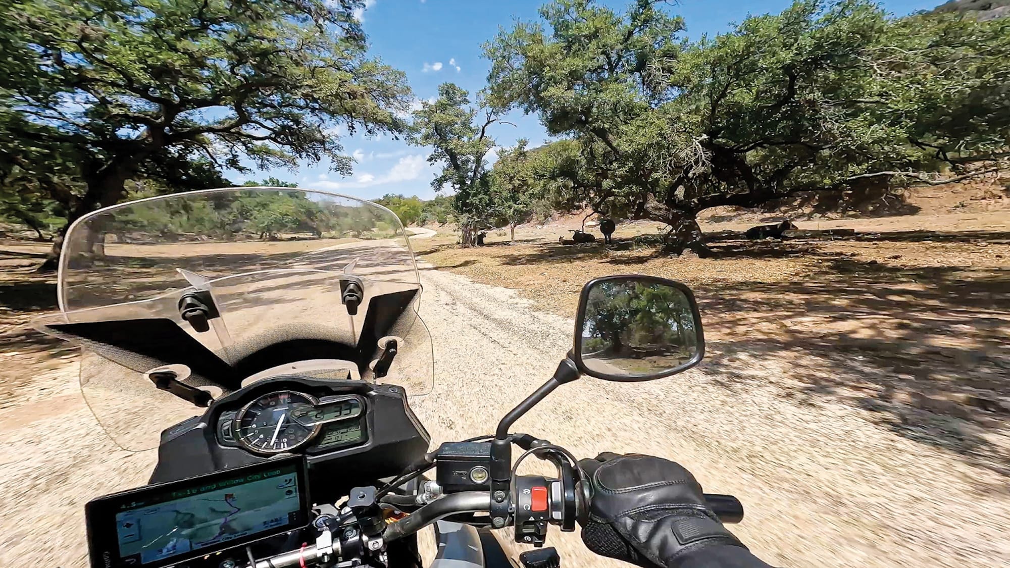 El Camino Real de los Tejas: A Ride Through History