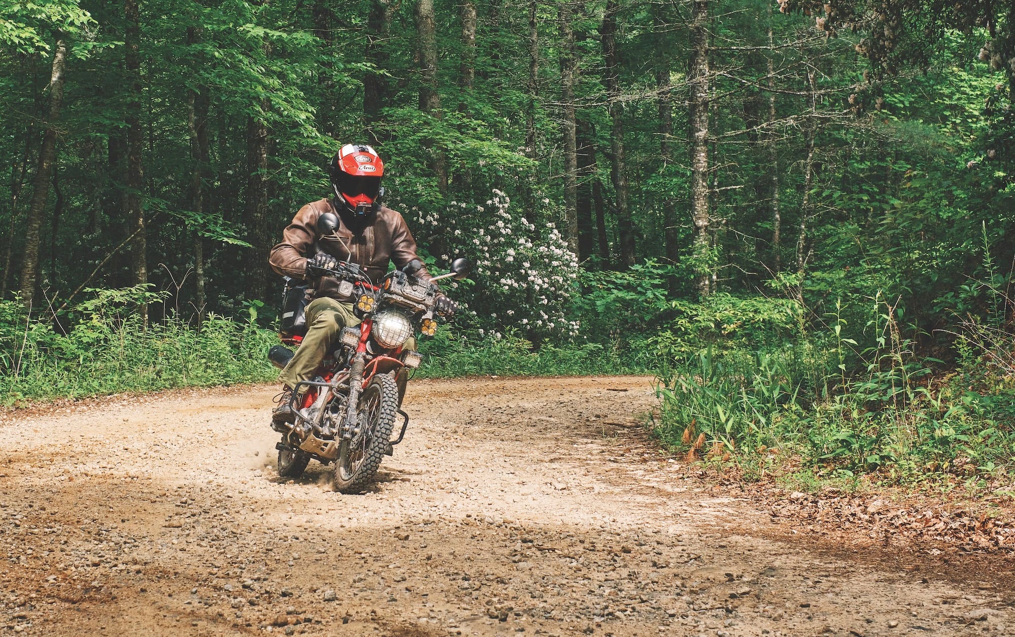 South Carolina Adventure Route: Sea to Summit on the SCAR