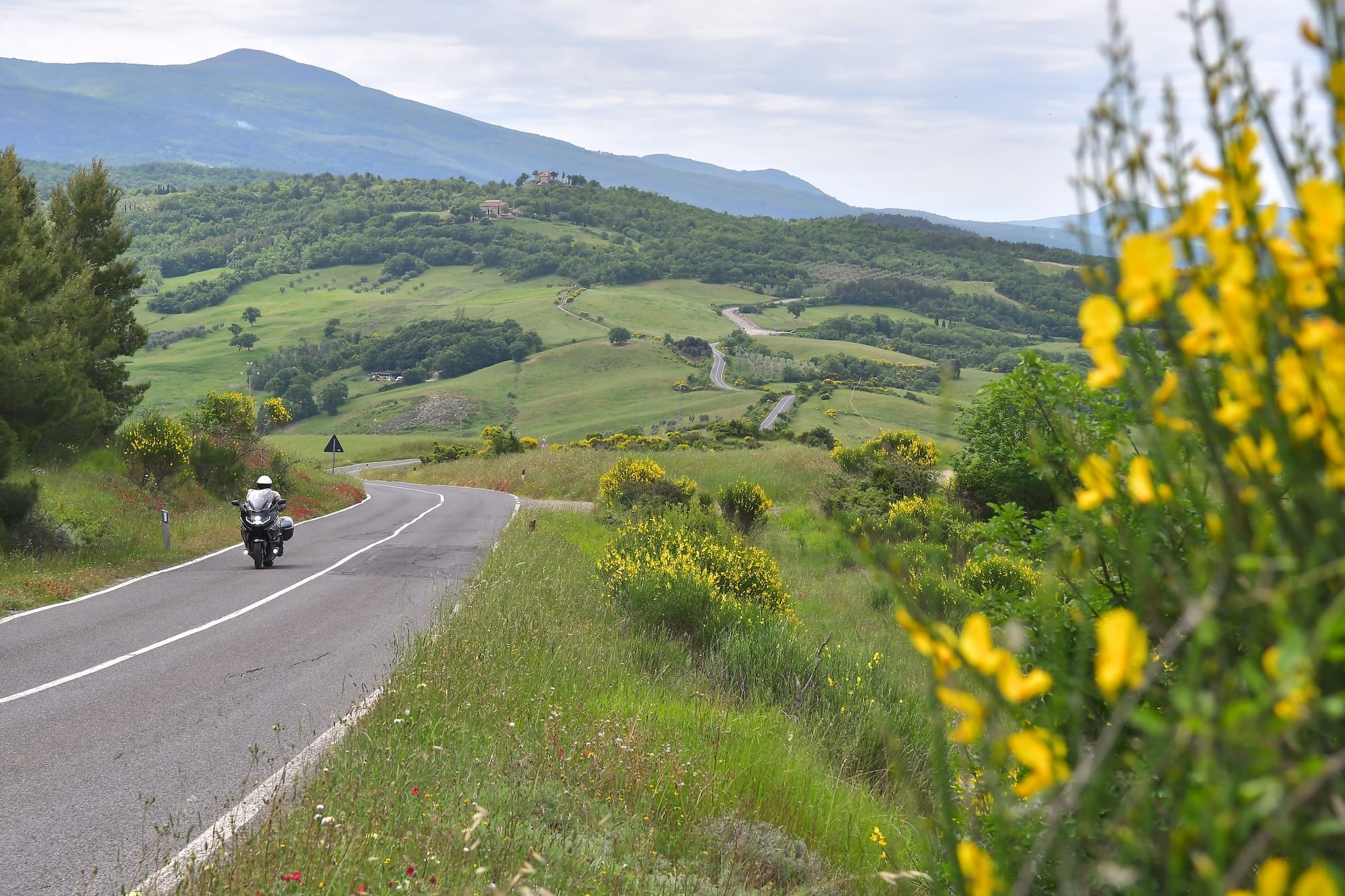 Culinary Tour: Tuscany