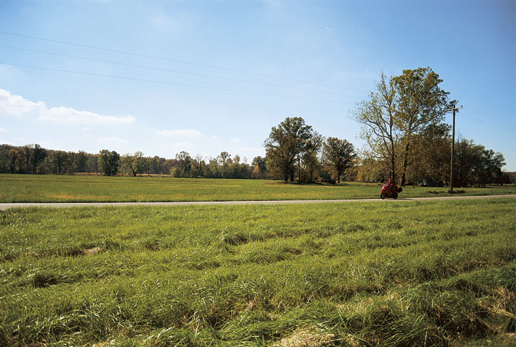 Indiana: Hoosier National Forest