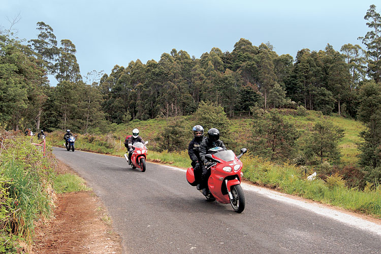 Australia: Tassie-Mania!