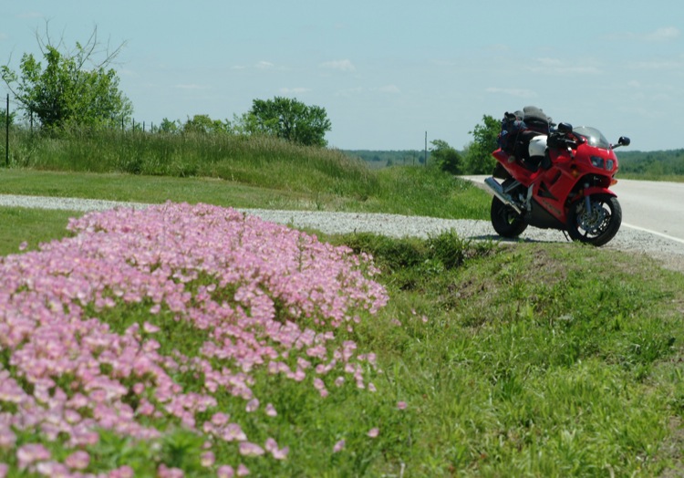 South Central Missouri's Alphabet Roads