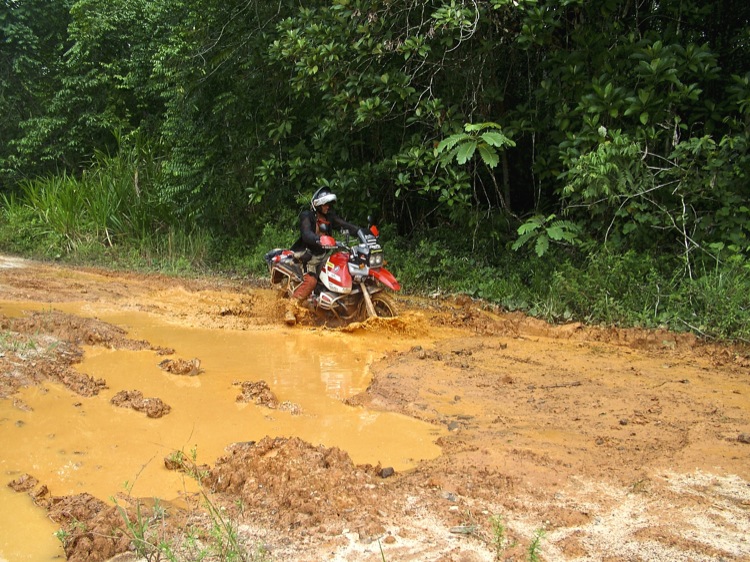 World Travelers: Brazil's Amazon Jungle, Part II