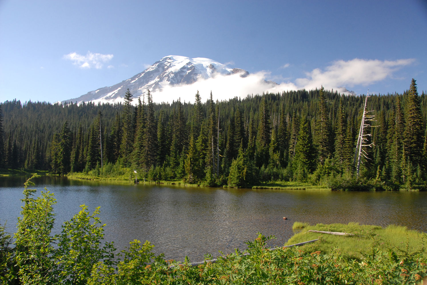 Exploring Paradise at Mt. Rainier -- National Park escape