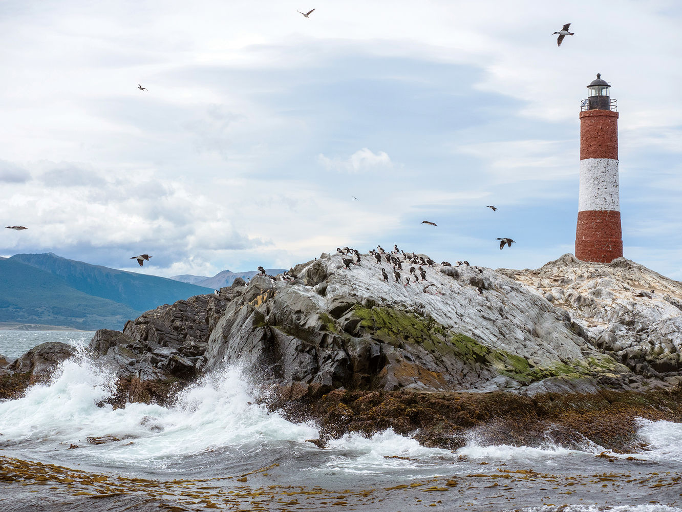 Motorcycle Tour in Patagonia South America: Cry of the Guanaco