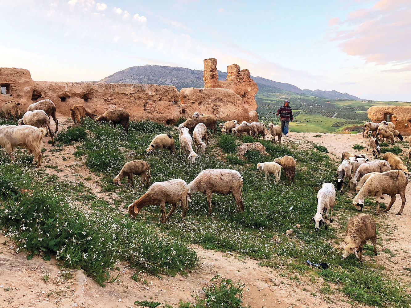 Morocco: Traveling the Kingdom